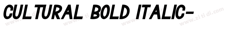 CULTURAL Bold Italic字体转换 CULTURAL Bold Italic字体转换